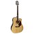 VIOLAO FOLK GIANNINI GF-1D CEQ N - Imagem 2