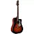 VIOLAO FOLK TAGIMA ACO  *SWELL* HB - Imagem 2