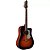 VIOLAO FOLK TAGIMA ACO  *SWELL* HB - Imagem 1
