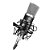 MICROFONE CONDENSADOR *RAD R1* - Imagem 11