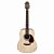VIOLAO FOLK GIANNINI ARIZONA DGT1PAFEEFXNG C/BAG - Imagem 2