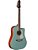 VIOLAO FOLK TAGIMA ACO  *SWELL*  TQG - Imagem 2