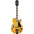 GUITARRA SEMI ACUSTICA IBANEZ GB10EM-AA GEORGE BENSON - Imagem 1