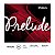 ENCORDOAMENTO VIOLINO 4/4 D'ADDARIO J8104/4M PRELUDE - Imagem 3