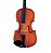 Violino Sverve 1/16 20014 - Imagem 3