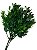 Folhagem Buxus Real toque c/powder verde 33cm - Imagem 1