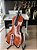 Violoncelo (cello) 4/4 - Novo - Prowinds PW1501 - Incrível - Aceito trocas - Parcelo 21x - Imagem 2