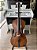 Violoncelo (cello) Schieffer 3/4 - envelhecido - peça de vitrine - pré ajustado - parcelo 21x - Imagem 1