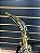 Sax Alto Yamaha YAS-23 (SEMINOVO) #166997 - Imagem 9