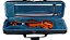 VIOLINO EAGLE VE-431 3/4 (NOVO) PARCELAMOS EM ATE 10X S/ JUROS #VE-431 - Imagem 5