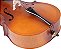 VIOLONCELLO SCHIEFFER 4/4 FOSCO (NOVO) PARCELAMOS EM ATE 10X S/ JUROS #SCHCLO4/4-003E - Imagem 4