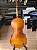 VIOLONCELO EAGLE CE300 4/4 (SEMINOVO) PARCELAMOS EM ATE 10X S/ JUROS #CE300-290825 - Imagem 2