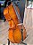 VIOLONCELO EAGLE CE300 4/4 (SEMINOVO) PARCELAMOS EM ATE 10X S/ JUROS #CE300-290825 - Imagem 3