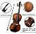 VIOLINO VOGGA 4/4 (NOVO) PARCELAMOS EM ATE 10X S/ JUROS #VON144N - Imagem 2