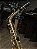 Sax Alto Arena Laqueado (NO ESTADO) #310051 - Imagem 8