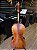 Violoncelo Eagle 4/4 modelo CE310 - Profissional #022061133 - Imagem 13