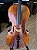 Violoncelo Eagle 4/4 modelo CE310 - Profissional #022061133 - Imagem 9