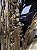 Sax Barítono Schieffer Laqueado (VITRINE) - #SCHBS-001L-2507-21 - Imagem 4