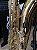 Sax Barítono Schieffer Laqueado (VITRINE) - #SCHBS-001L-2507-21 - Imagem 5