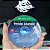 Jogo Rise of The Tomb Raider (Seminovo) - Xbox One - Imagem 6