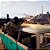 Jogo PlayerUnknown's Battlegrounds (PUBG) (Seminovo) - PS4 - Imagem 4