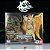 Action Figure Mu de Áries God Cloth Soul of Gold Cloth Myth EX, Cavaleiros do Zodíaco - Bandai - Imagem 9