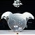 Placa Decorativa de Metal Batman, DC Comics - Yu Chi - Imagem 8