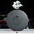 Emblema Thundercats Decorativo em Resina - Thundercats - Imagem 6