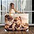 Quadro Decorativo Canvas Animais Selvagens amor de Leão Pai e Filho na Selva Horizontal - Imagem 1