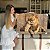 Quadro Decorativo Canvas Animais Selvagens Amor de Leão Pai e Filho Horizontal - Imagem 7