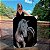 Quadro Decorativo Canvas Animal Cavalo Morrom Crina Preta Fundo Preto Vertical - Imagem 1