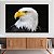 Quadro Decorativo Canvas Animal Selvagem Águia de Perfil Horizontal - Imagem 2