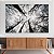 Quadros Decorativos Canvas Céu de Bosque com Árvores de Galhos Secos Horizontal - Imagem 2