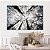 Quadros Decorativos Canvas Céu de Bosque com Árvores de Galhos Secos Horizontal - Imagem 4