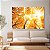 Quadro Decorativo Canvas Árvores Alaranjadas Galhos Secos Outono Horizontal - Imagem 3