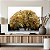 Quadro Decorativo Canvas Flores Árvore Ipê Amarelo Horizontal - Imagem 5