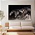Quadro Decorativo Canvas Cavalo Corcel Negro Correndo - Imagem 2