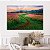 Quadro Decorativo Canvas Caminho no Campo De Flores Céu Azul Horizontal - Imagem 4