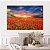Quadro Decorativo Canvas Campo De Tulipas Vermelhas ao Pôr do Sol Horizontal - Imagem 3