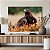 Quadro Decorativo Canvas Águia Real No Campo Horizontal - Imagem 5