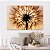 Quadro Decorativo Canvas Zoom de Flor Dente de Leão Horizontal - Imagem 4