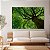 Quadro Decorativo Canvas Copa de Árvore Com Folhas Verdes Floresta Horizontal - Imagem 2