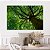 Quadro Decorativo Canvas Copa de Árvore Com Folhas Verdes Floresta Horizontal - Imagem 4