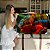 Quadro Decorativo Canvas Animal Camaleão Colorido Floresta Horizontal - Imagem 7