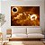 Quadro Decorativo Canvas Eclipse Solar no Campo Natureza Horizontal - Imagem 2
