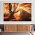 Quadro Decorativo Canvas Bosque De Outono Natureza Horizontal - Imagem 4