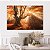 Quadro Decorativo Canvas Bosque De Outono Natureza Horizontal - Imagem 2