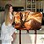 Quadro Decorativo Canvas Bosque De Outono Natureza Horizontal - Imagem 7