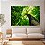 Quadro Decorativo Canvas Árvores em Floresta Natureza Horizontal - Imagem 4