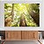 Quadros Decorativos Canvas Árvores na Floresta ao Amanhecer Horizontal - Imagem 3